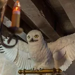 Sorcier Magique - Immersive Cinema 4k Laser & Air-cond & Parking * Bordeaux