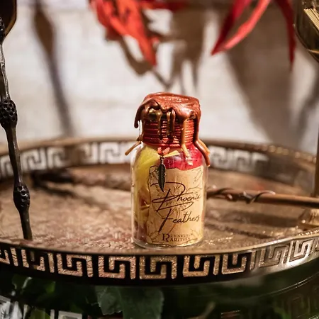 Sorcier Magique - Immersive Cinema 4k Laser & Air-cond & Parking *