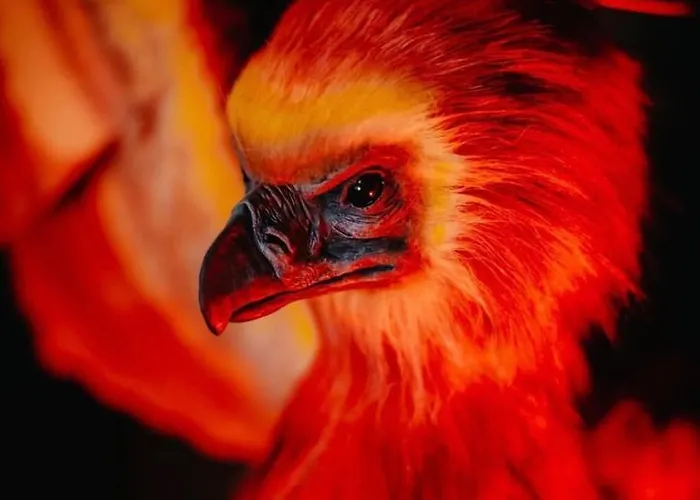 Apartment Sorcier Magique - Immersive Cinema 4k Laser & Air-cond & Parking *