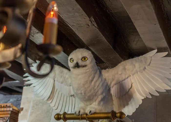 Sorcier Magique - Immersive Cinema 4k Laser & Air-cond & Parking * Bordeaux