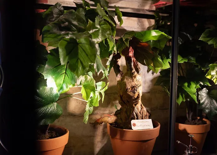 Sorcier Magique - Immersive Cinema 4k Laser & Air-cond & Parking Apartment Bordeaux