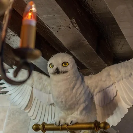 Sorcier Magique - Immersive Cinema 4k Laser & Air-cond & Parking * Bordeaux
